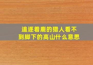 追逐着鹿的猎人看不到脚下的高山什么意思