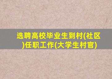 选聘高校毕业生到村(社区)任职工作(大学生村官)