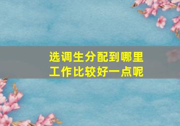 选调生分配到哪里工作比较好一点呢