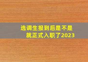 选调生报到后是不是就正式入职了2023