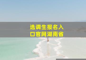 选调生报名入口官网湖南省