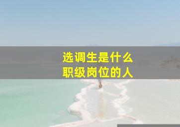 选调生是什么职级岗位的人