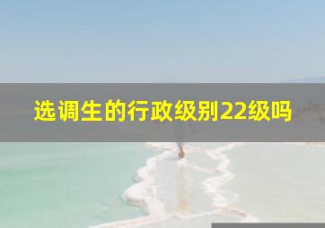 选调生的行政级别22级吗