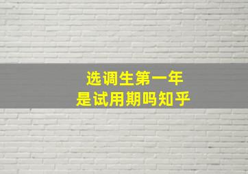 选调生第一年是试用期吗知乎