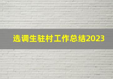 选调生驻村工作总结2023