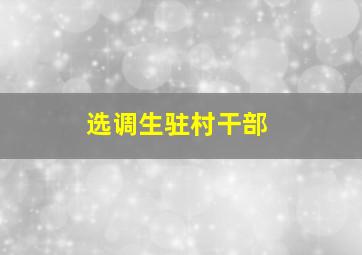 选调生驻村干部