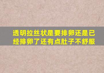 透明拉丝状是要排卵还是已经排卵了还有点肚子不舒服