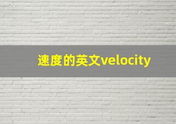 速度的英文velocity