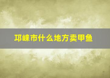 邛崃市什么地方卖甲鱼