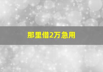 那里借2万急用