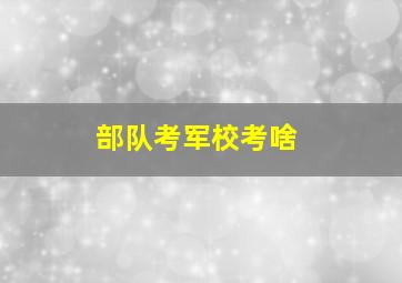 部队考军校考啥