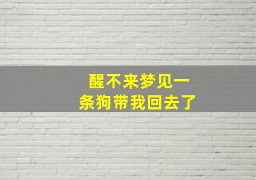 醒不来梦见一条狗带我回去了