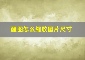 醒图怎么缩放图片尺寸