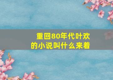 重回80年代叶欢的小说叫什么来着