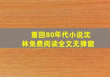 重回80年代小说沈林免费阅读全文无弹窗