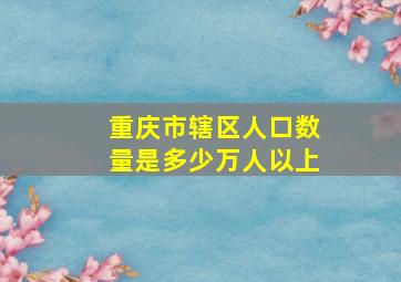 重庆市辖区人口数量是多少万人以上