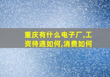 重庆有什么电子厂,工资待遇如何,消费如何