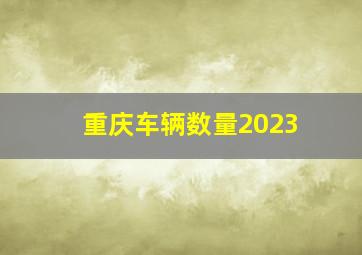 重庆车辆数量2023