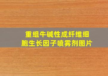 重组牛碱性成纤维细胞生长因子喷雾剂图片