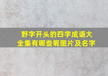 野字开头的四字成语大全集有哪些呢图片及名字