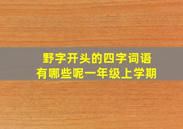 野字开头的四字词语有哪些呢一年级上学期