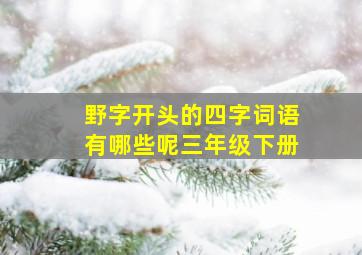 野字开头的四字词语有哪些呢三年级下册