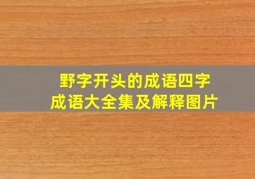 野字开头的成语四字成语大全集及解释图片