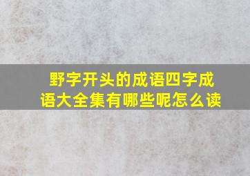 野字开头的成语四字成语大全集有哪些呢怎么读