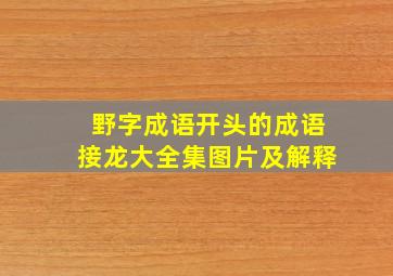 野字成语开头的成语接龙大全集图片及解释