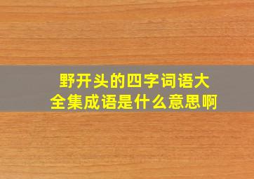 野开头的四字词语大全集成语是什么意思啊