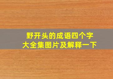 野开头的成语四个字大全集图片及解释一下