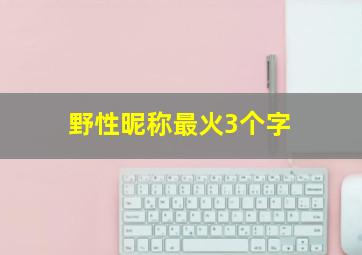 野性昵称最火3个字