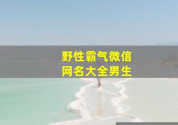 野性霸气微信网名大全男生