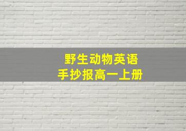 野生动物英语手抄报高一上册