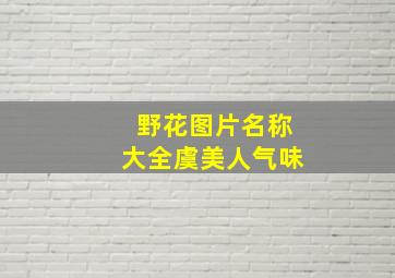 野花图片名称大全虞美人气味