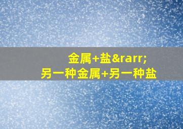 金属+盐→另一种金属+另一种盐