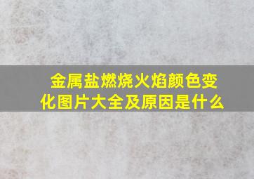 金属盐燃烧火焰颜色变化图片大全及原因是什么