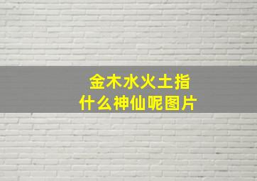 金木水火土指什么神仙呢图片