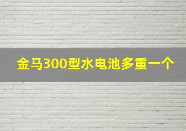 金马300型水电池多重一个