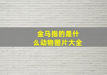 金马指的是什么动物图片大全