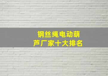 钢丝绳电动葫芦厂家十大排名