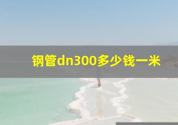 钢管dn300多少钱一米