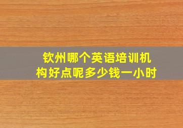 钦州哪个英语培训机构好点呢多少钱一小时