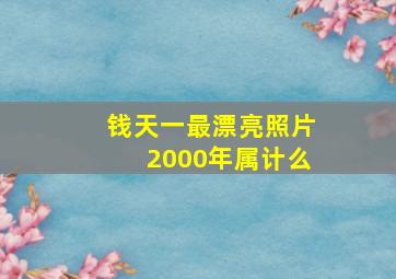 钱天一最漂亮照片2000年属计么