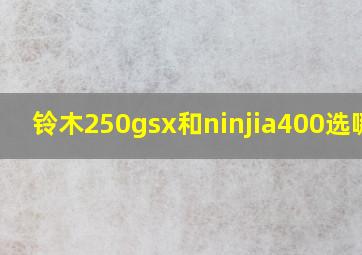 铃木250gsx和ninjia400选哪个