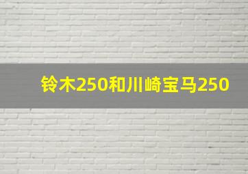 铃木250和川崎宝马250