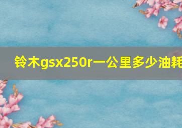 铃木gsx250r一公里多少油耗