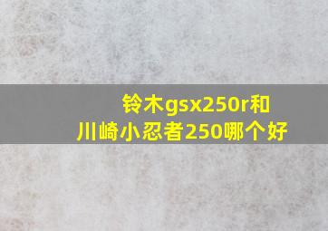 铃木gsx250r和川崎小忍者250哪个好