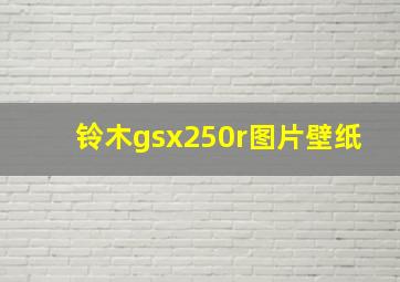 铃木gsx250r图片壁纸