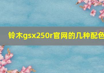 铃木gsx250r官网的几种配色